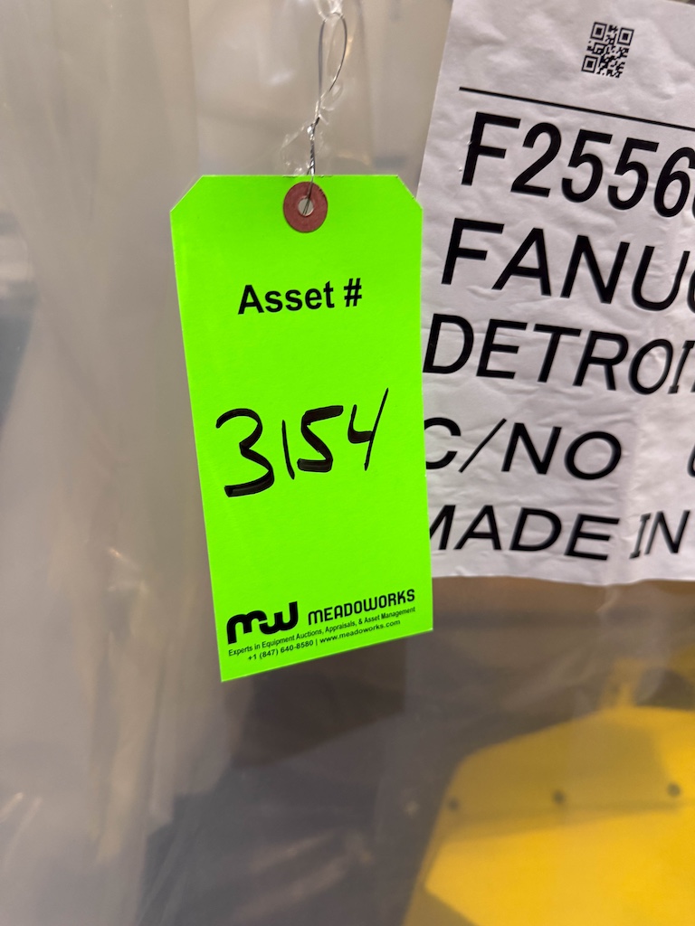 Used 2020 Fanuc 6-Axis Robot Conveyors - View 4